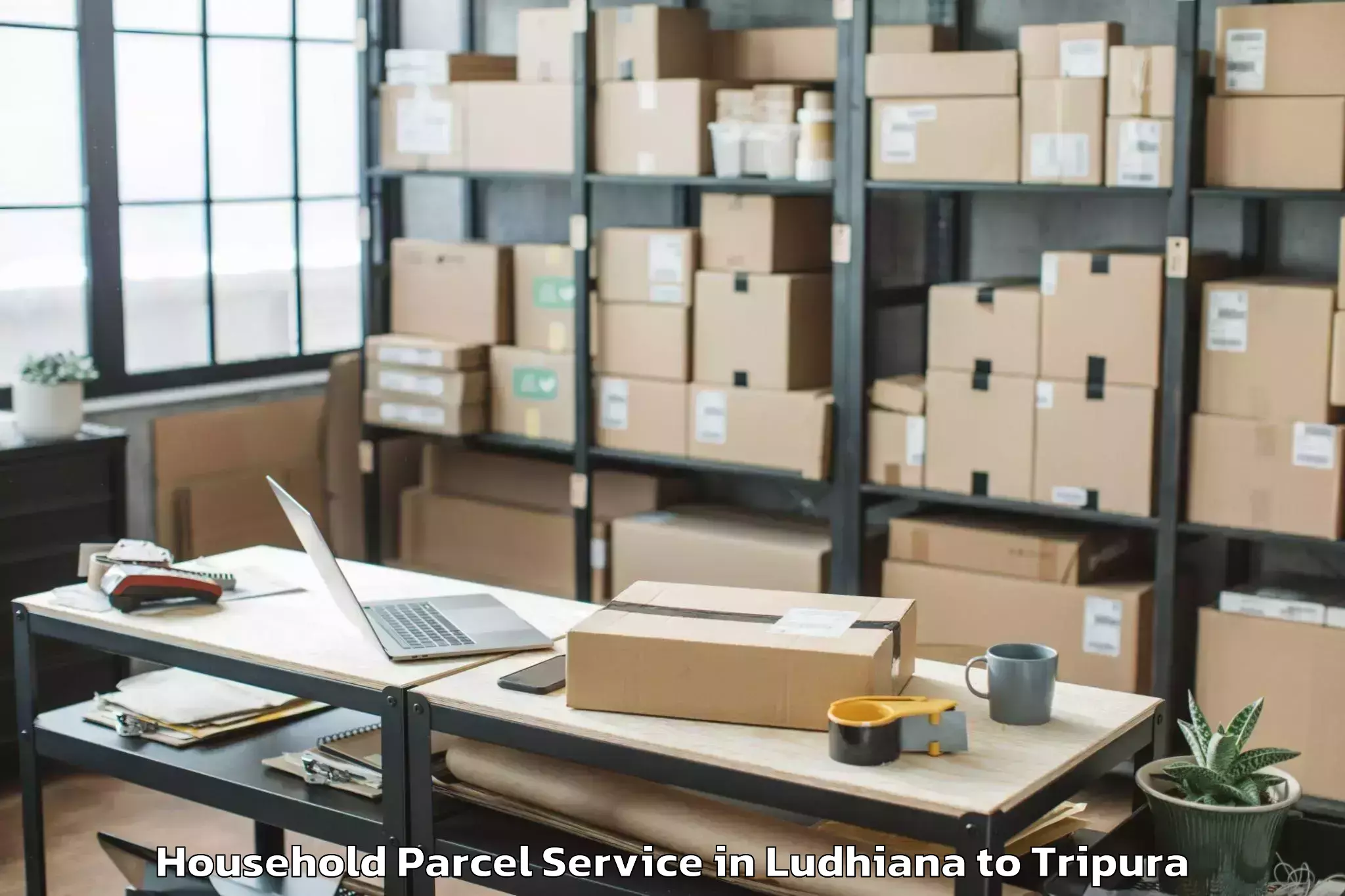 Reliable Ludhiana to Sabrum Household Parcel